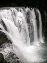 ��ʬ����