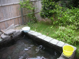 楠の湯共同浴場(伊豆市土肥)