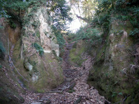 �似�Ѳ��;�������