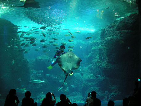 ���������²��