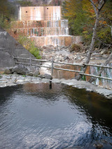 �̲��������ڸ����Į��