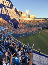 横浜×阪神(横浜スタジアム)