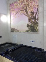 荻窪ラドン・サウナセンター(東京都杉並区桃井)
