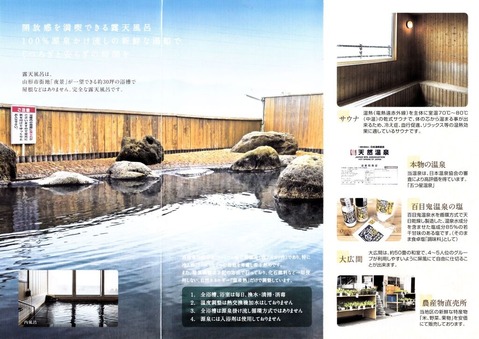 ɴ�ܵ������ʻ�����������ɴ�ܵ���