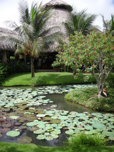 �ߥȡ��ᥳ����롼��