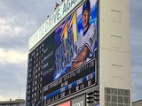 横浜×阪神(横浜スタジアム)