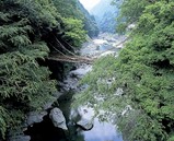 かずら橋