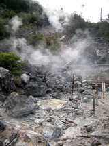 ����ٲ���-ȬȨ�Ϲ�