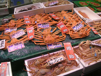 近江町市場