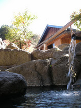 Ȭ����������ڸ������ԡ�