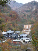 �̲��������ڸ����Į��