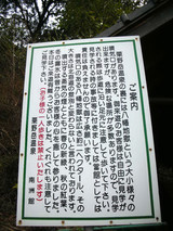 ����ٲ���-ȬȨ�Ϲ�