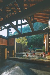 �դ����餷����Ų��Խٲ϶�ݻҡ�