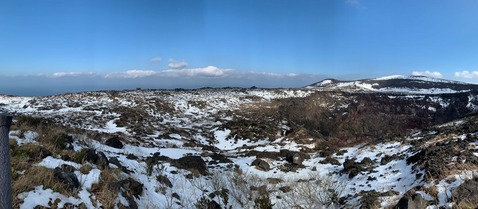 �������и�����ϩ