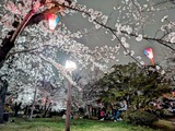 飛鳥山公園