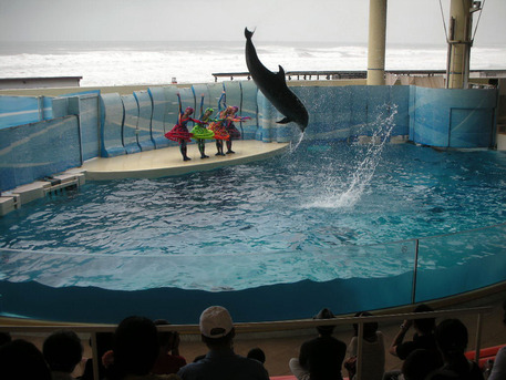 ���������²��