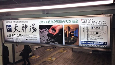 ������� ŷ����������������������