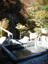 Ȭ����������ڸ������ԡ�