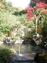 ��������ʸ��ڻ��ӻ���