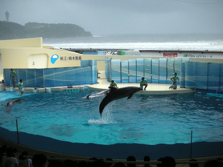 ���������²��