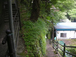 世古の湯(静岡県伊豆市天城湯ヶ島)