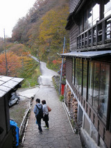 �̲��������ڸ����Į��