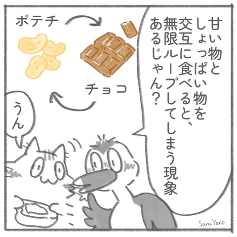 甘い物と しょっぱい物を 交互に食べると、 無限ループしてしまう現象 あるじゃん?/うん/ポテチとチョコのループとか…