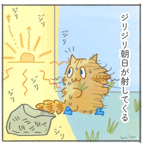 ジリジリ朝日が射してくる