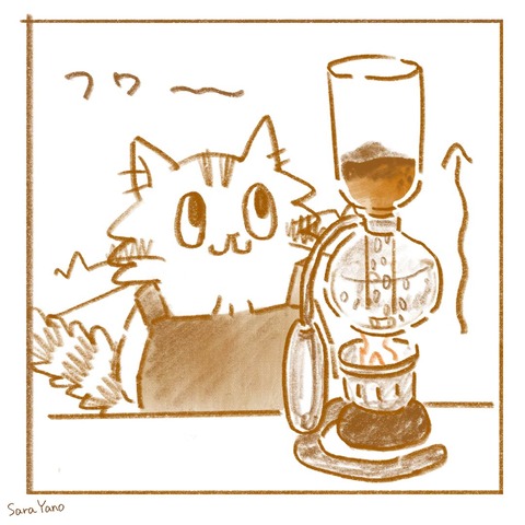 siphon_coffee_0-3