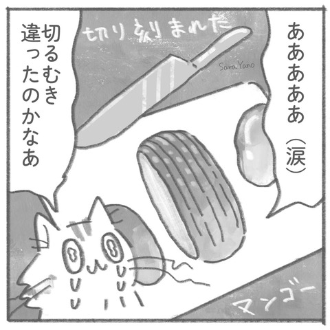あああああ(涙)/切るむき 違ったのかなあ