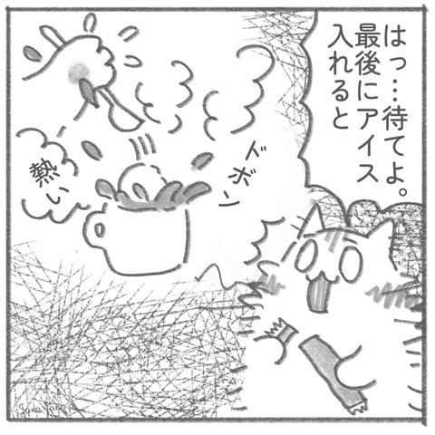 はっ…待てよ。 最後にアイス 入れると飛沫で火傷するかも