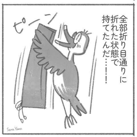 全部折り目通りに 折れた状態で 持てたんだ…!!