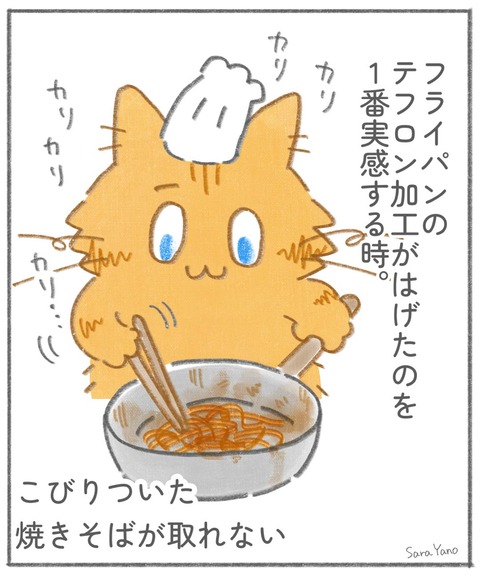 teflon_fried_noodles_0-1
