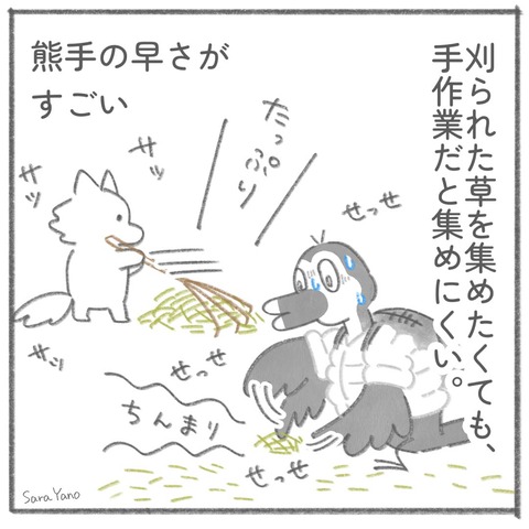 weeding_cold_autumn_0-3