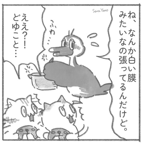 「ね、なんか白い膜 みたいなの張ってるんだけど。」「ええ?!どゆこと…」