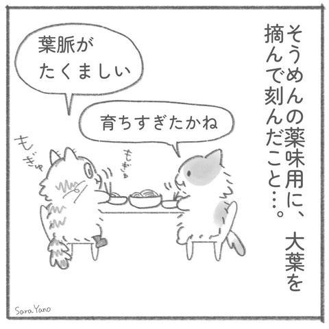 people_who_follow_0-6