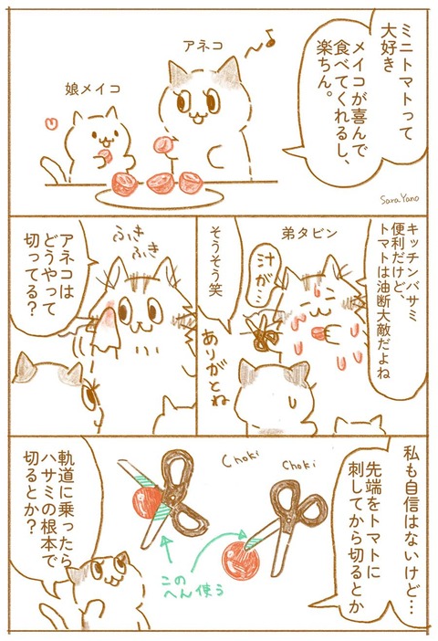 ミニトマトって 大好き/メイコが喜んで 食べてくれるし、 楽ちん。/キッチンバサミ 便利だけど、 トマトは油断大敵だよね/アネコは どうやって 切ってる?/私も自信はないけど…先端をトマトに 刺してから切るとか、軌道に乗ったら ハサミの根本で 切るとか?