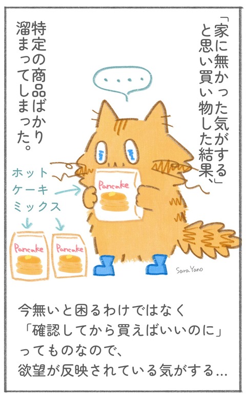 「家に無かった気がする」と思い買い物した結果、特定の商品ばかり溜まってしまった。今無いと困るわけではなく、「確認してから買えばいいのに」ってものなので、欲望が反映されている気がする…