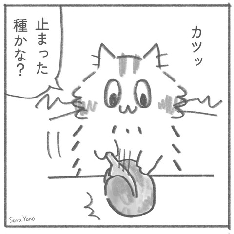 カツッ/止まった。種かな?