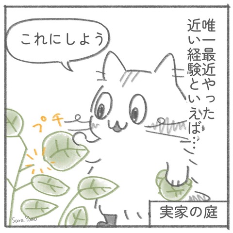 people_who_follow_0-5