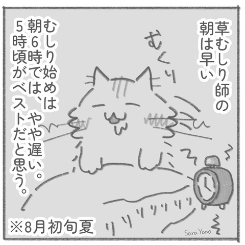 草むしり師の 朝は早い。むしり始めは 朝6時では、やや遅い。 5時頃がベストだと思う。※8月初旬夏