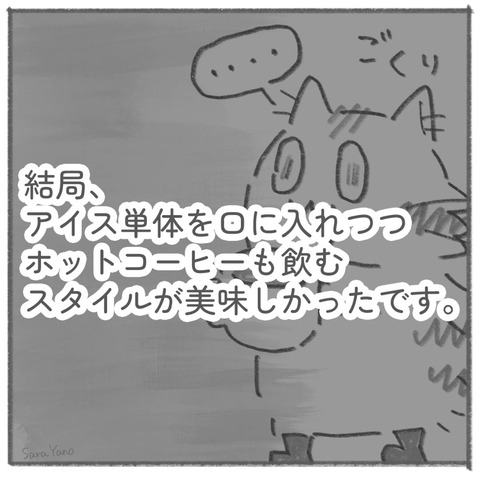 結局、 アイス単体を口に入れつつ ホットコーヒーも飲む スタイルが美味しかったです。