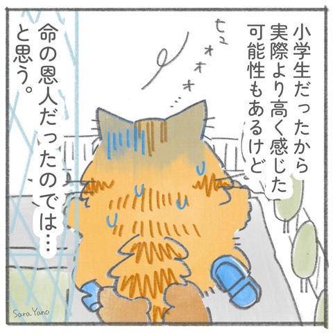 lifesaver_0-7