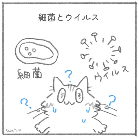 lack_of_understanding-4