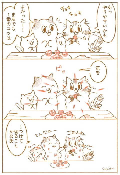 あっ やりやすいかも/よかったー!まあでも 1番のコツは/気を/…つけて切ることかなあ