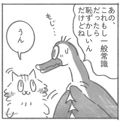 あの、 これもし一般常識 だったら 恥ずかしいんだけどね