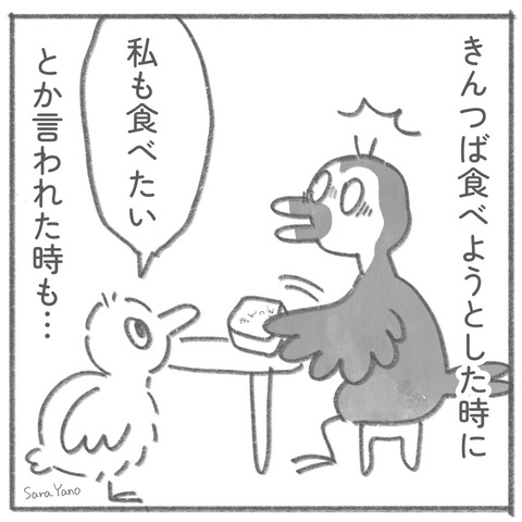 obsession_0-6