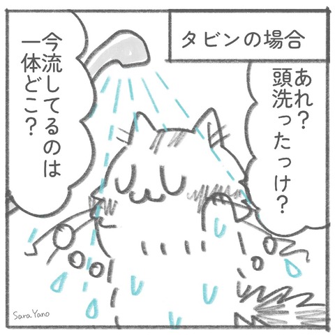 タビンの場合:あれ?頭洗ったっけ?今流してるのは一体どこ?