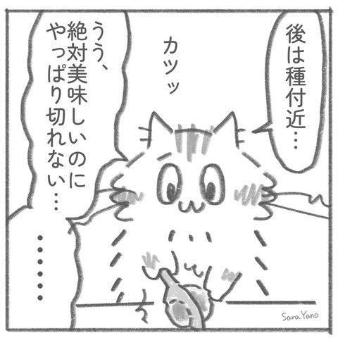 後は種付近…/うう、 絶対美味しいのに やっぱり切れない…/......