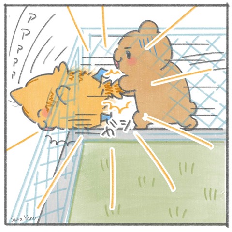 lifesaver_0-6